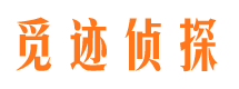 新都市私家侦探